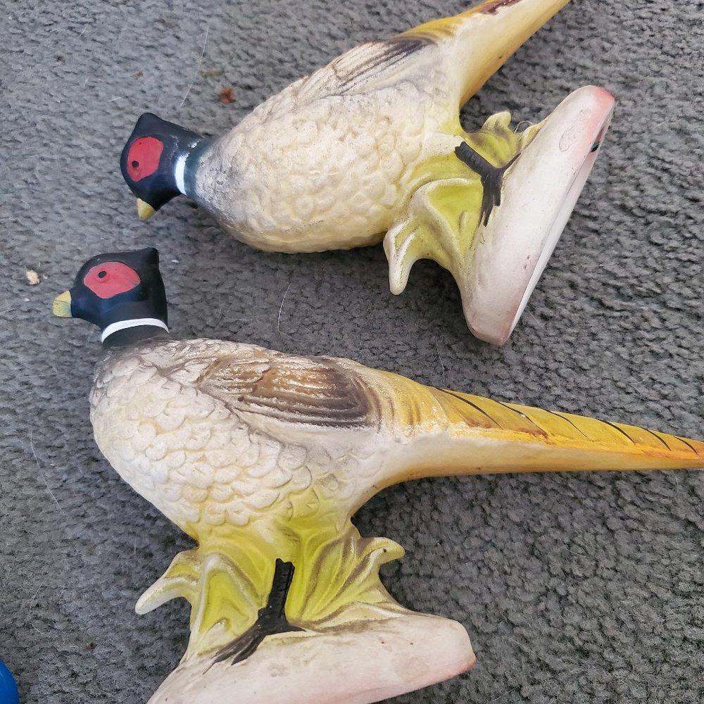 2 Napoware birds in perfect condition